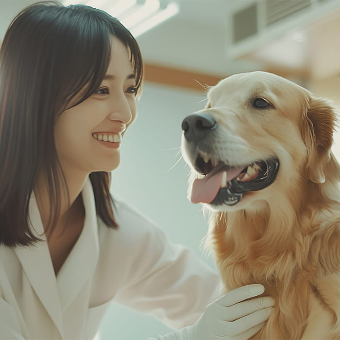 ペットシッター