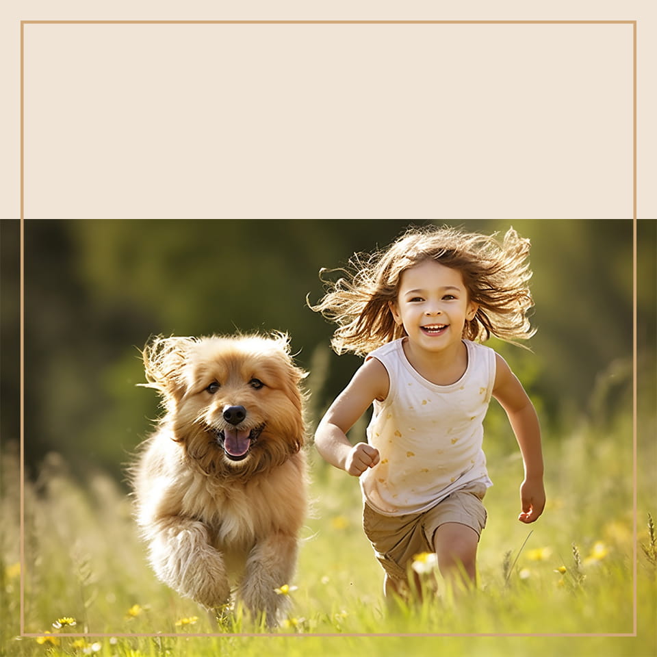 ペットシッターとは